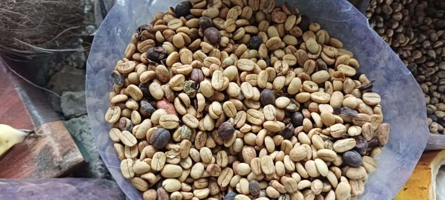 Higuey discovery, coffee and cocoa tasting from punta cana - The long road from Punta Cana to Higüey