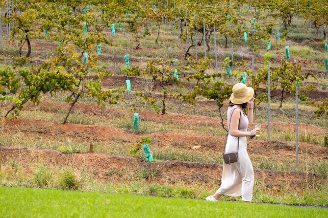Hunter Valley All Inclusive, Wine, Chocolate Tasting and Lunch - The long bus ride is part of the bargain