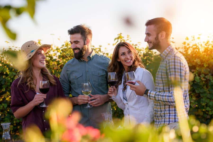 Hunter Valley: Wine, Chocolate and Lunch All Inclusive Tour - Sobels Wines opens with the most hands-on stop