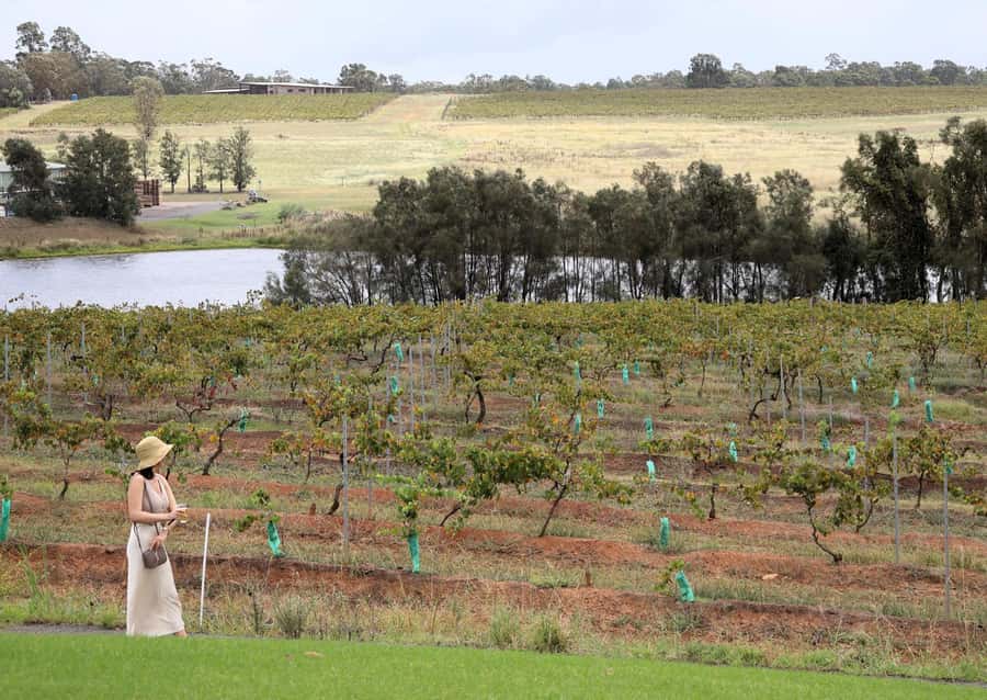 Hunter Valley: Wine, Chocolate and Lunch All Inclusive Tour - The schedule is the tour’s main weakness
