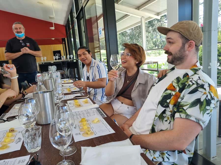 Hunter Valley: Wine, Gin, Cheese and Chocolate Tour - The vineyard introduction and first wine tasting