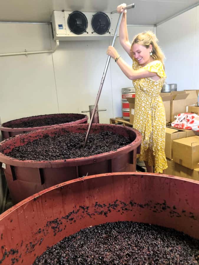 Hunter Valley: Wine, Gin, Cheese and Chocolate Tour - Lunch with a glass of wine, beer or cider