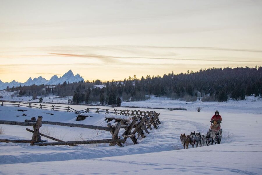 Jackson Hole: Dogsledding Tour with Hot Chocolate - What sitting in the sled feels like