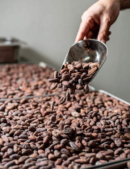 KAIACAO Bean to Bar and Design your own chocolate experience - Sorting, roasting, and winnowing your cacao beans