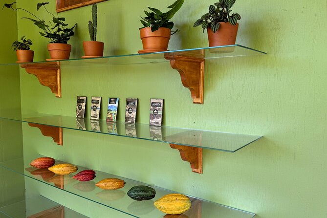 Kamananui Cacao Orchard Tour - Why cacao makes this North Shore stop worthwhile