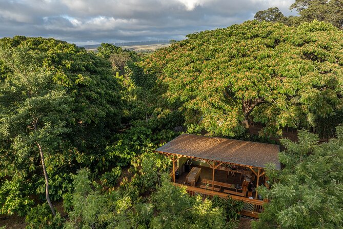 Kamananui Cacao Orchard Tour - Who should book this orchard tour?