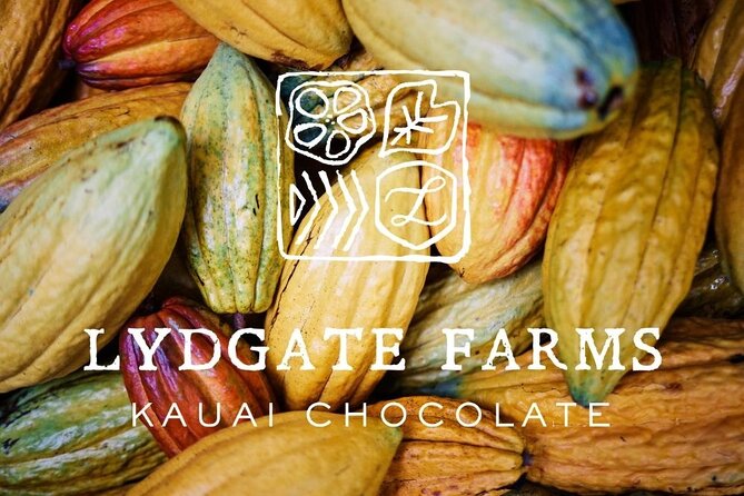 Kauai Chocolate Farm Tasting Tour - Why the cacao tree makes this Kauai tour different