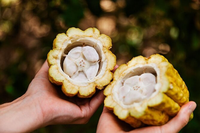 Kauai Chocolate Farm Tasting Tour - Who will enjoy Lydgate Farms most?