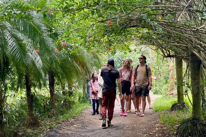 Kauai Chocolate Farm Tasting Tour - The first tastes: macadamia nuts, bananas, honey, and vanilla