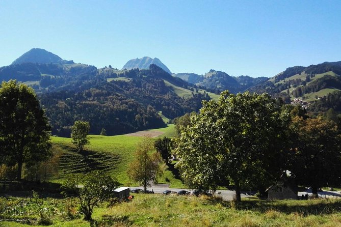 (KTL352) - Gruyeres Day Trip with Chocolate Factory from Lausanne - Who should book this Lausanne day trip?