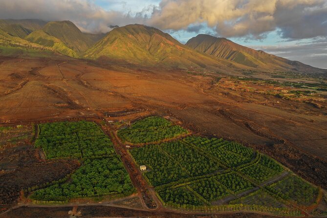 Lahaina: Maui Ku'ia Estate Guided Cacao Farm Tour and Tasting - Nine chocolates in a West Maui treehouse