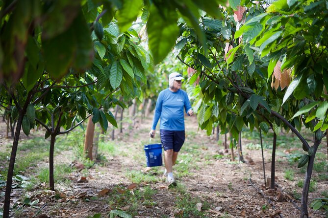 Lahaina: Maui Ku'ia Estate Guided Cacao Farm Tour and Tasting - How much value do you get for $99.48?