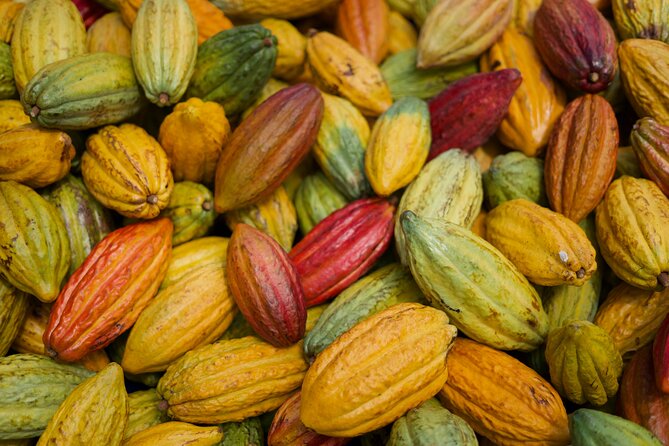 Lahaina: Maui Ku'ia Estate Guided Cacao Farm Tour and Tasting - Who will enjoy this tour most?