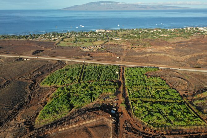 Lahaina: Maui Ku'ia Estate Guided Cacao Farm Tour and Tasting - What the cacao lesson adds