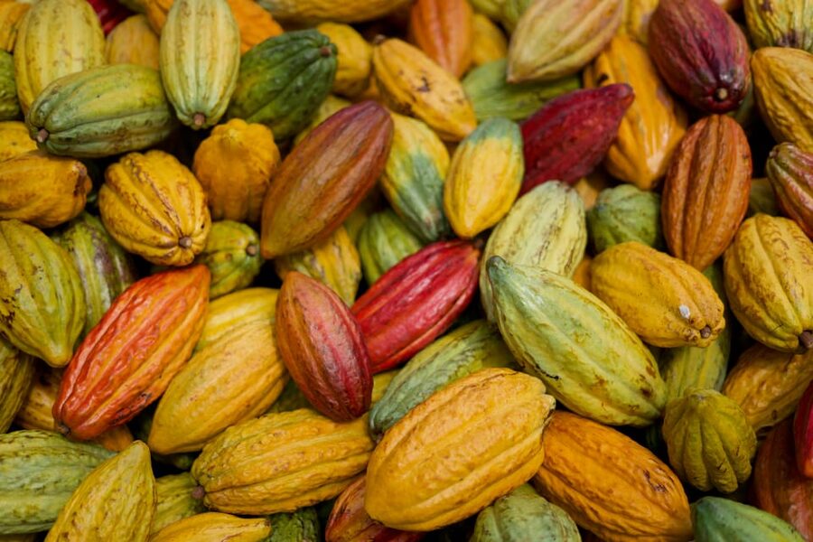 Lahaina: Maui Ku'ia Estate Guided Cacao Farm Tour & Tasting - Guides bring the farm story to life