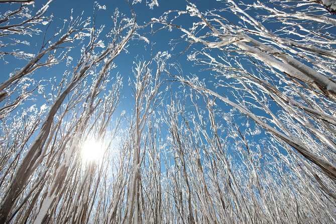 Lake Mountain Snow Trip including Yarra Valley Chocolaterie from Melbourne - Who should book it?