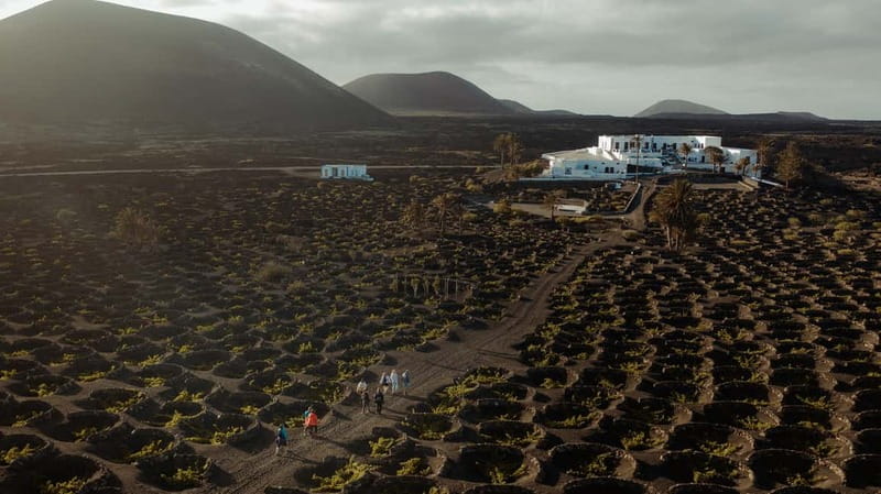 Lanzarote: Sunset vineyard tour with wine and chocolate tasting - Why Finca Testeina makes this tasting different