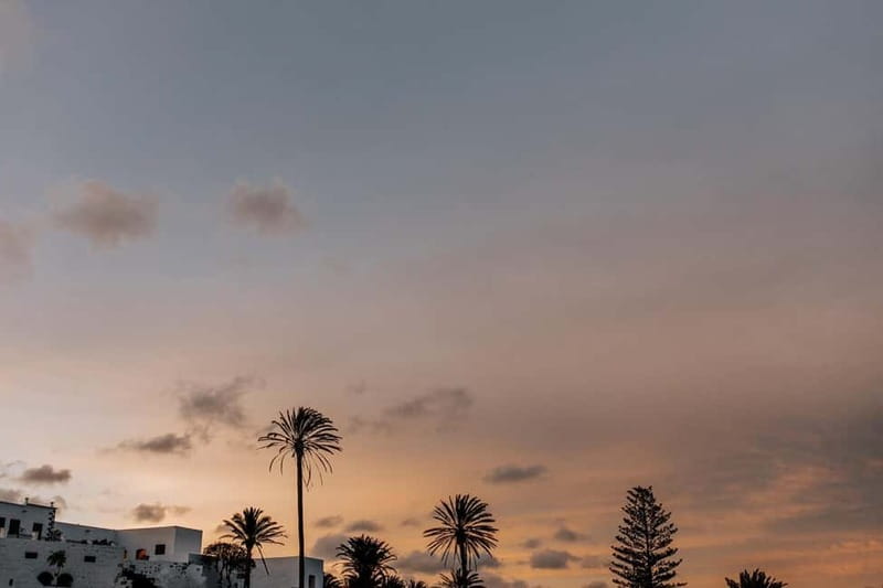 Lanzarote: Sunset vineyard tour with wine and chocolate tasting - Is $31 a fair price?