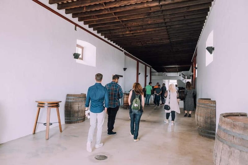 Lanzarote: Sunset vineyard tour with wine and chocolate tasting - Should you book it?