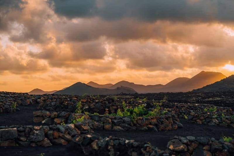 Lanzarote: Sunset vineyard tour with wine and chocolate tasting - Walking the vineyard at sunset