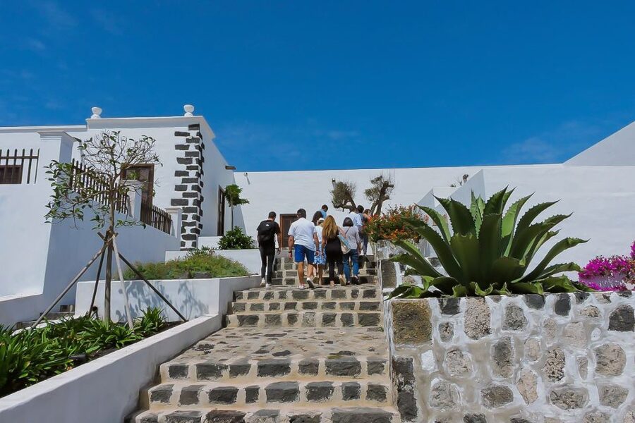 Lanzarote: Vineyard Tour with Wine and Chocolate Tasting - Key points to know before booking