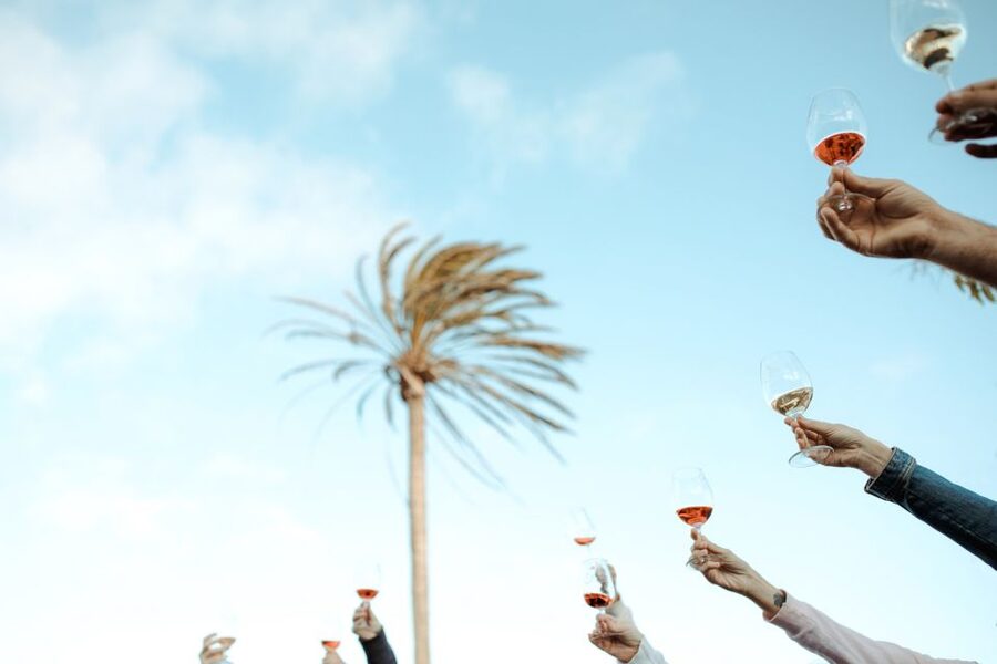Lanzarote: Vineyard Tour with Wine and Chocolate Tasting - Should you book Finca Testeina?