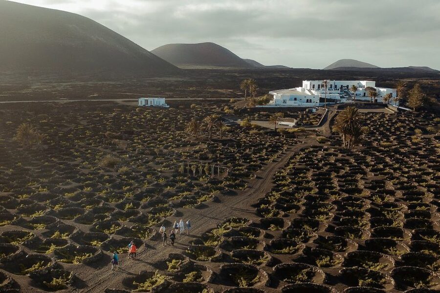 Lanzarote: Vineyard Tour with Wine and Chocolate Tasting - Why Lanzarote’s vineyards look so unusual