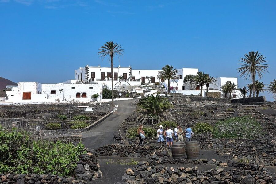 Lanzarote: Vineyard Tour with Wine and Chocolate Tasting - A 50-minute walk through Finca Testeina