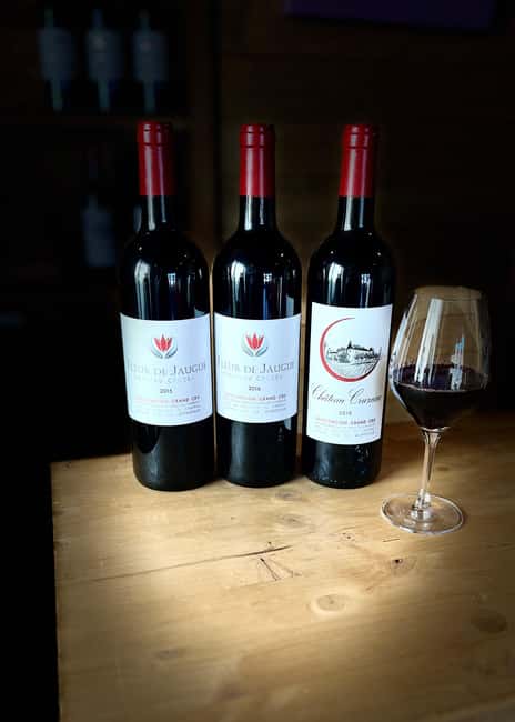 Libourne: Winery Tour with Wine and Chocolate Tasting - Who should book this visit?