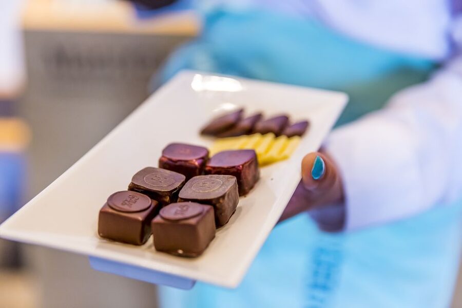 Lucerne: Chocolate Tasting with Lake Trip and City Tour - Chapel Bridge and the Reuss River