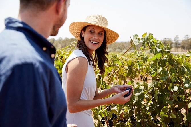 Luxury Hunter Valley Tour: 3 Tastings, Gin, Lunch & Chocolatier - Key points to know before booking