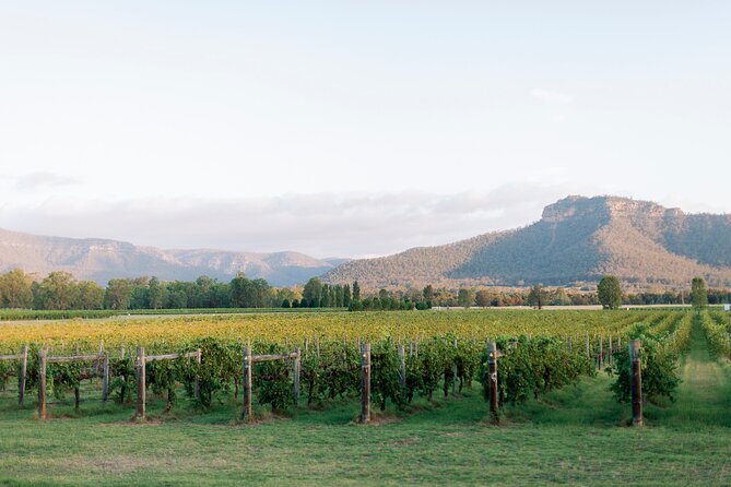 Luxury Hunter Valley Tour: 3 Tastings, Gin, Lunch & Chocolatier - Keith Tulloch Wine and the optional gin tasting