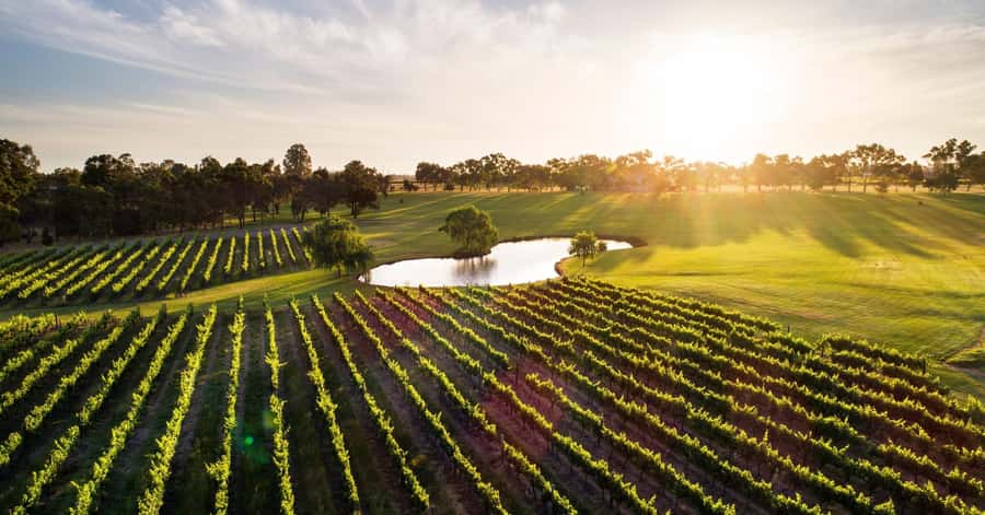 Margaret River, Chocolate, Wine & Coast Day Trip from Perth - Key points to know before booking