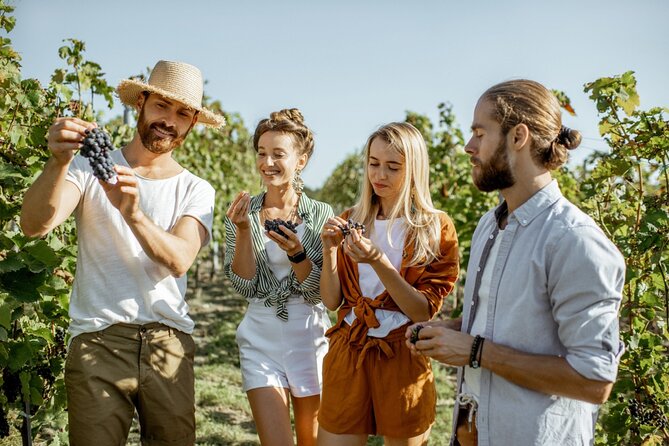 Margaret River’s Wine & Chocolate Odyssey: Private Tour - Vasse Virgin offers a non-food pause