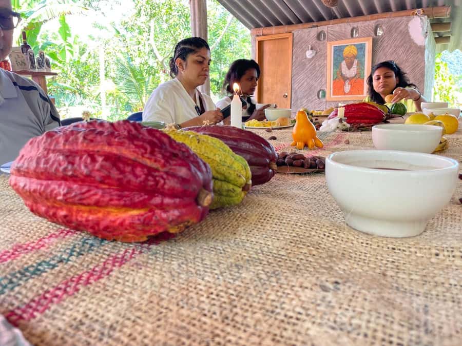 Medellín: Chocolate Tour & Exfoliation in beautiful river - Key points to know before booking