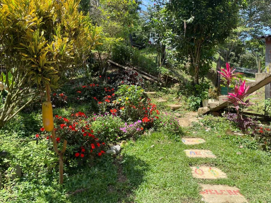 Medellín: Chocolate Tour & Exfoliation in beautiful river - Language, timing, and practical details