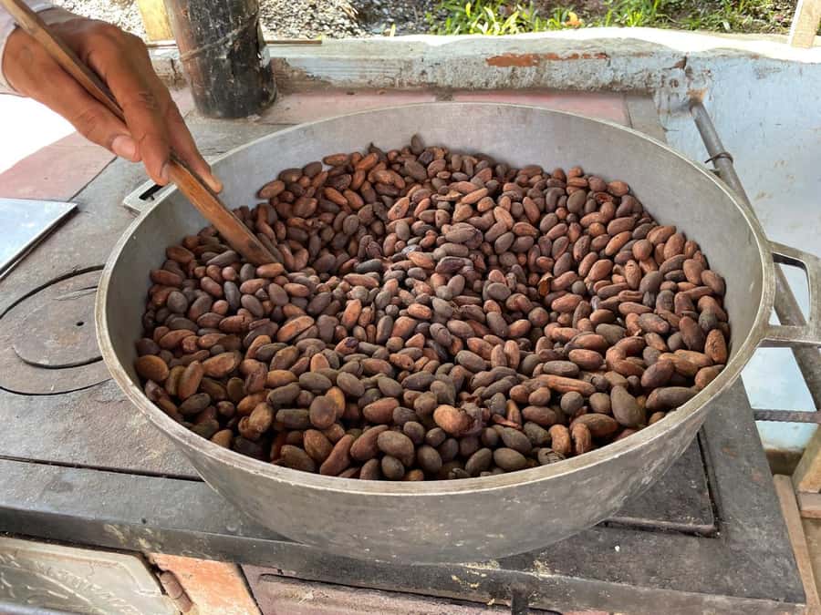 Medellín: Chocolate Tour & Exfoliation in beautiful river - Why this chocolate day is different
