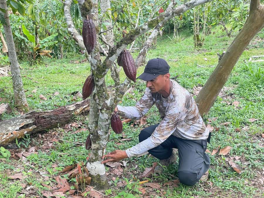 Medellín: Chocolate Tour & Exfoliation in beautiful river - Four hours among cacao plants at San Francisco