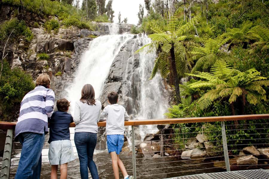 Melbourne: Lake Mountain Snow Day and Waterfalls & Chocolate - Three hours at Lake Mountain