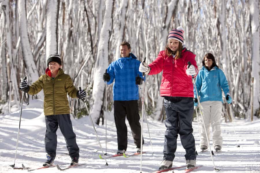 Melbourne: Lake Mountain Snow Day and Waterfalls & Chocolate - Black Spur Road is part of the experience