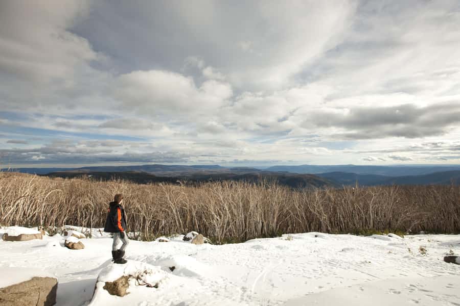 Melbourne: Lake Mountain Snow, Waterfall & Chocolaterie Tour - Why this Melbourne snow trip works