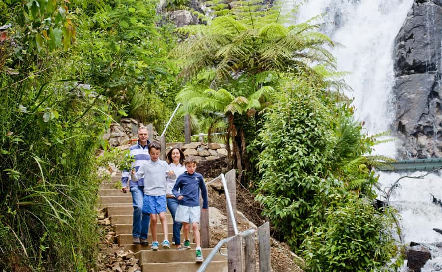 Melbourne: Lake Mountain Snow, Waterfall & Chocolaterie Tour - Steavenson Falls brings a quieter second act
