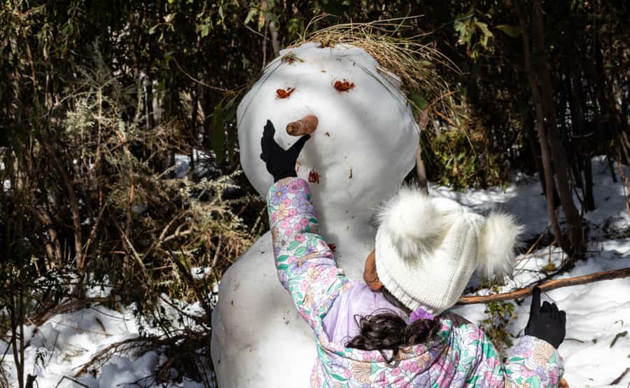 Melbourne: Lake Mountain Snow, Waterfall & Chocolaterie Tour - The long ride home and the value of the day