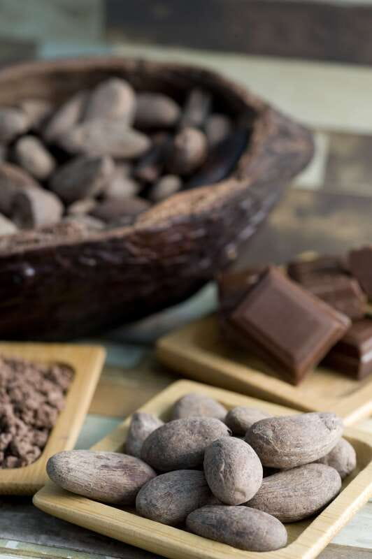 Mérida: Uxmal, Cenote and Chocolate Museum Choco-Story - Key points at a glance
