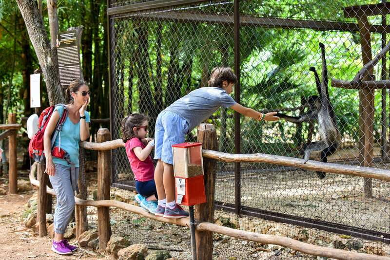 Mérida: Uxmal, Cenote and Chocolate Museum Choco-Story - Who should book this day