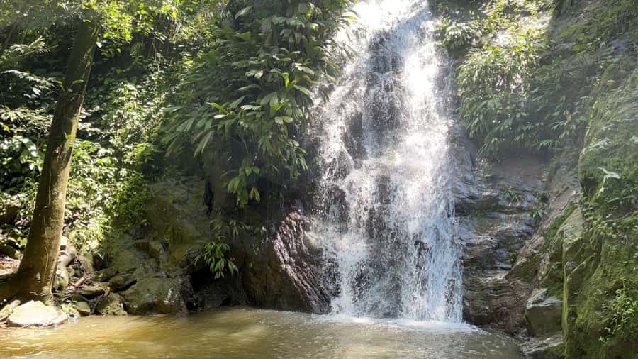 Minca: Hidden Waterfall + Coffee and Cocoa Workshop - The one-hour ride from Santa Marta