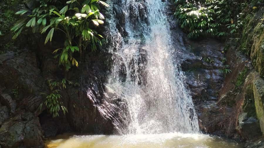Minca: Hidden Waterfall + Coffee and Cocoa Workshop - Coffee, views, and wildlife along the way