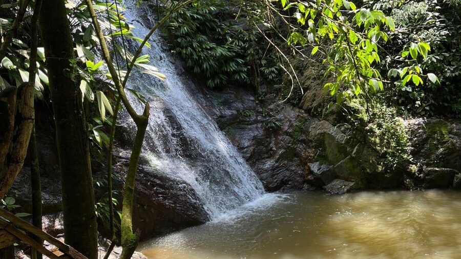 Minca: Hidden Waterfall + Coffee and Cocoa Workshop - Lunch after the waterfall