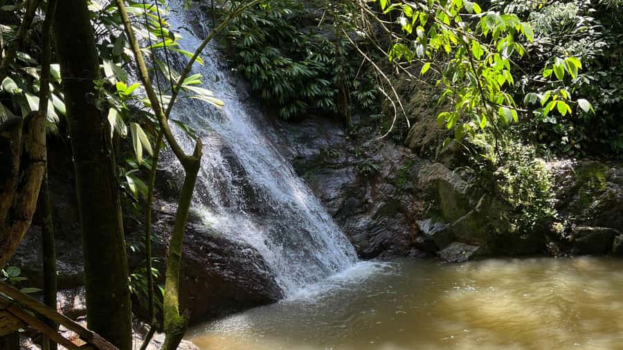Minca: Hidden Waterfall + Coffee and Cocoa Workshop - The second 50-minute forest walk
