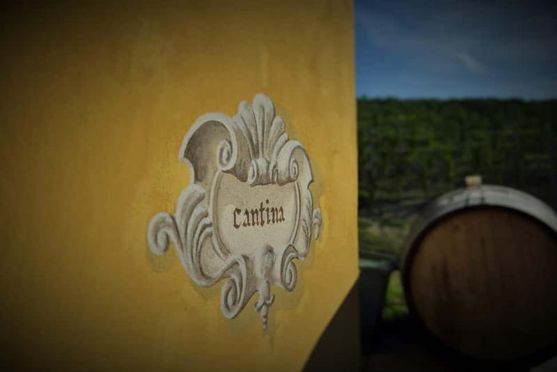 Monforte d'Alba: Wine and Chocolate Tasting Experience - The farm museum and the story behind the bottles